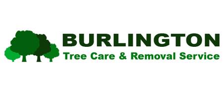 Burlington Tree Care & Removal Service