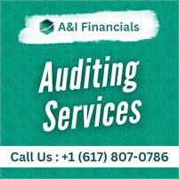 Anifinancials A&I  Financials